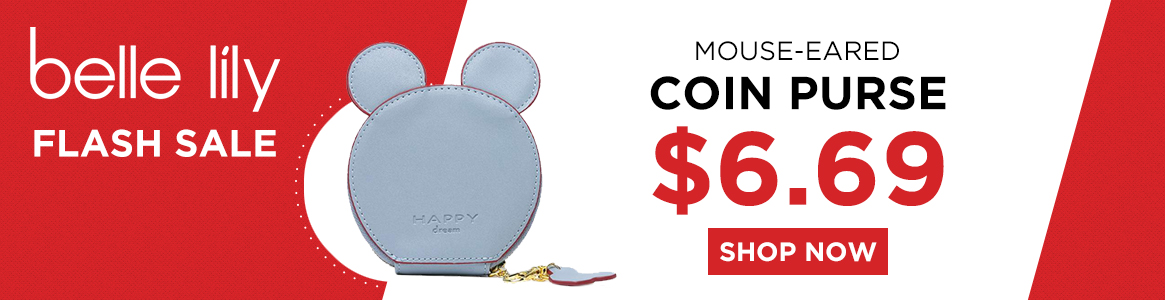 coin purse flash sale